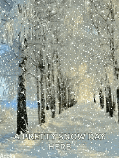Snowday Beautiful GIF