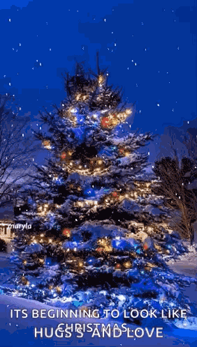 Snowing Christmas Snow GIF