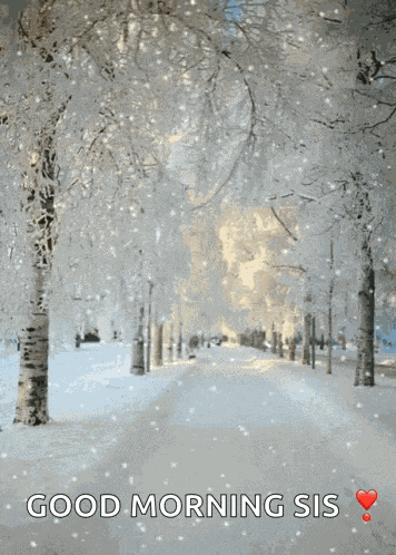 Snowing Winter GIF