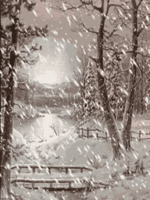 Snowing Winter GIF