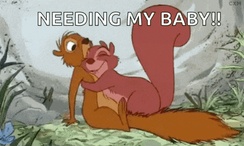 Snuggle Squirrel GIF
