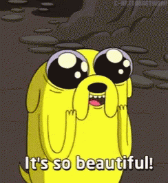 So Beautiful Jake The Dog GIF