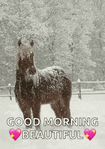 So Beautiful GIF
