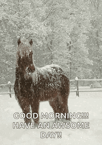 So Beautiful Snow Day GIF