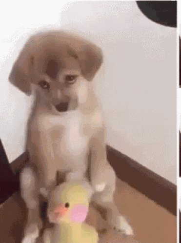 So Bye Sad GIF