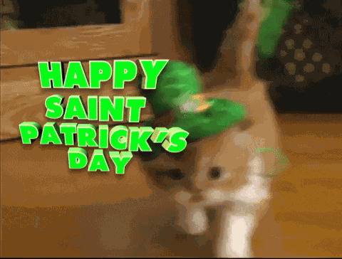 So Cute Aww GIF