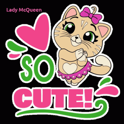 So Cute Cute Kitty GIF