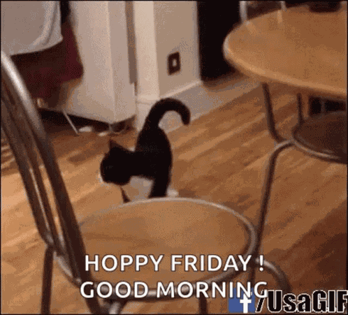 So Funny GIF