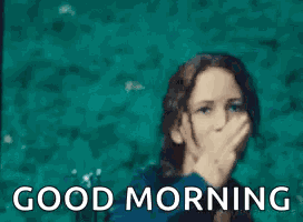 So Long Katniss Everdeen GIF