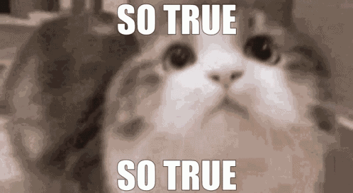 So True GIF