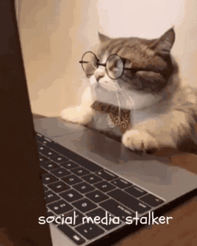 Social Media GIF