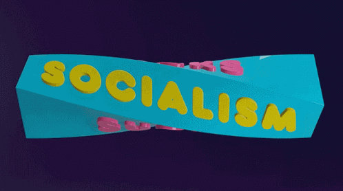 Socialism Socialist GIF
