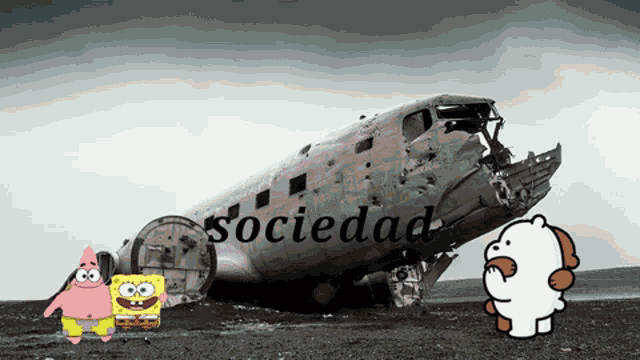 Sociedad GIF