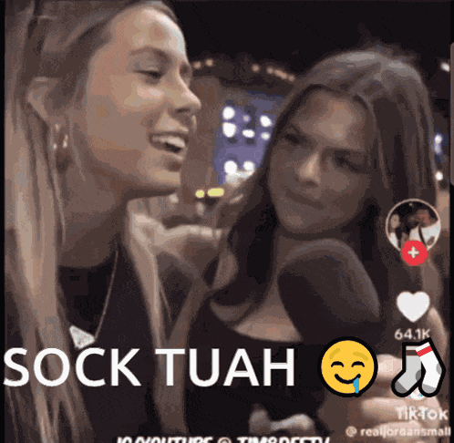 Sockcord Hawk Tuah GIF