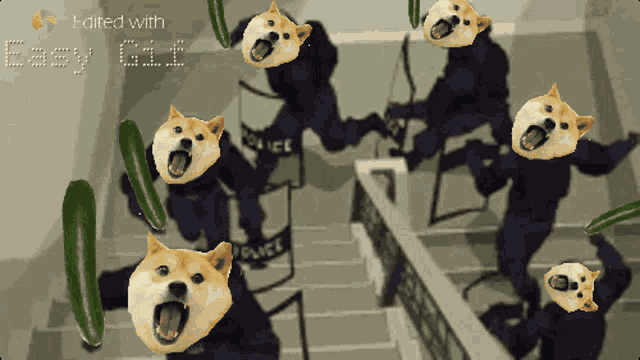 Sofakingdoge GIF