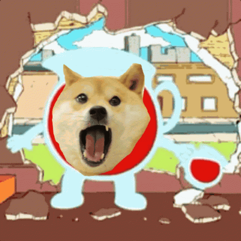 Sofakingdoge GIF
