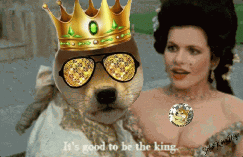 Sofakingdoge GIF