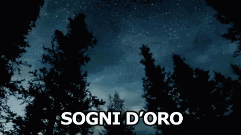 Sogni D'Oro Buona Notte Stelle Notte GIF