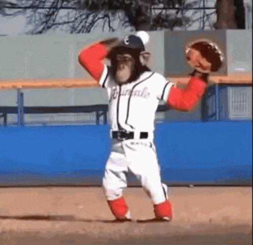 Soheb Monkey GIF