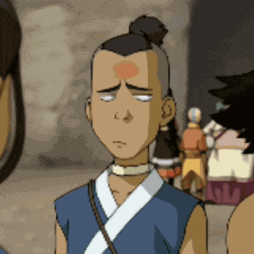 Sokka Book 2 GIF