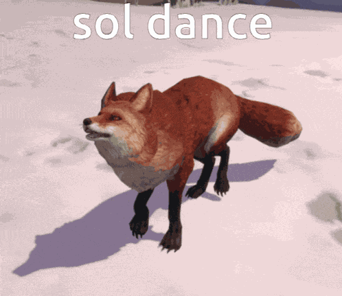 Sol Fox GIF