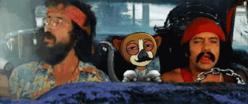 Sol Royal Sol Lemur GIF