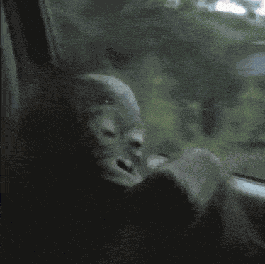 Solemn Monkey GIF