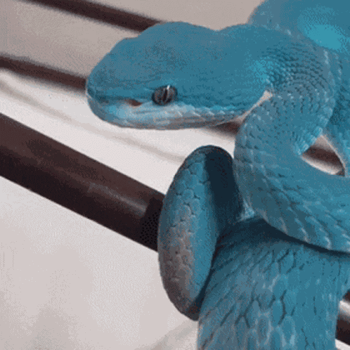 Solid Snake GIF