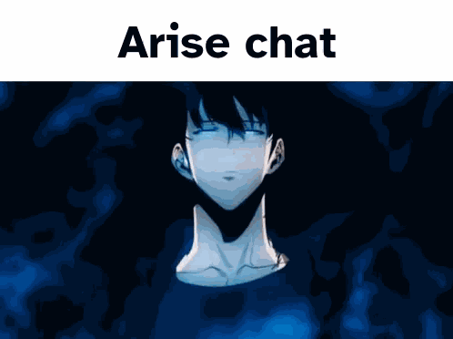 Solo Leveling Arise GIF