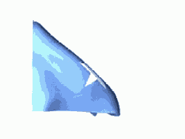 Somalia Flag GIF