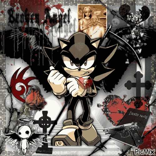 Sonadow Shadow The Hedgehog GIF