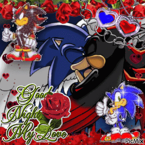 Sonadow Sonic GIF