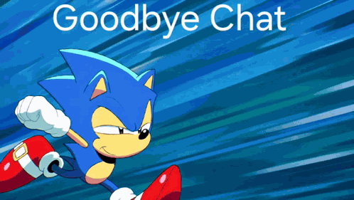 Sonic Goodbye Chat GIF