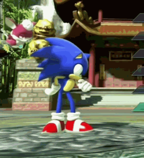 Sonic Sonic The Hedgehog GIF