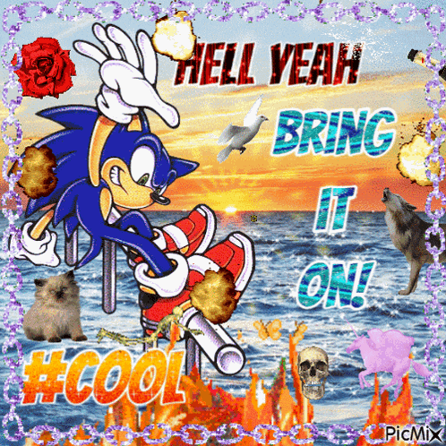 Sonic Sonic The Hedgehog GIF