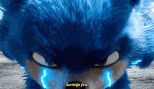 Sonic The Hedgehog Gotta Go Fast GIF