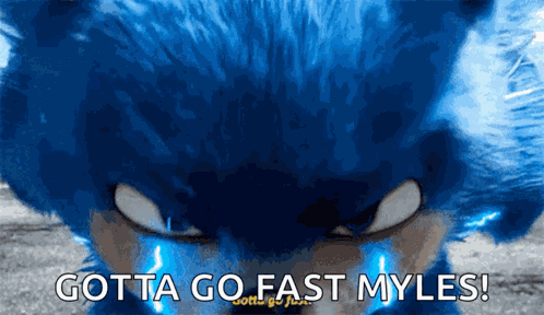 Sonic The Hedgehog Gotta Go Fast GIF
