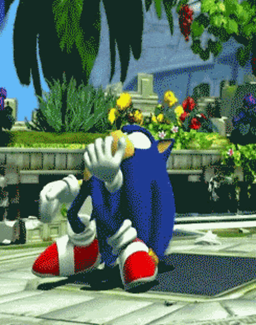 Sonic The GIF