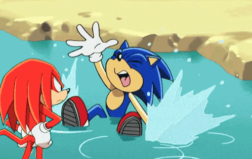 Sonic X Sonic Vs Knuckles GIF