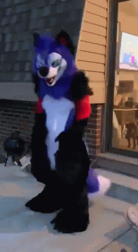 Sonicfox Furry GIF