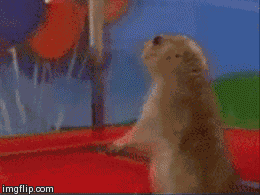 Sopresa GIF