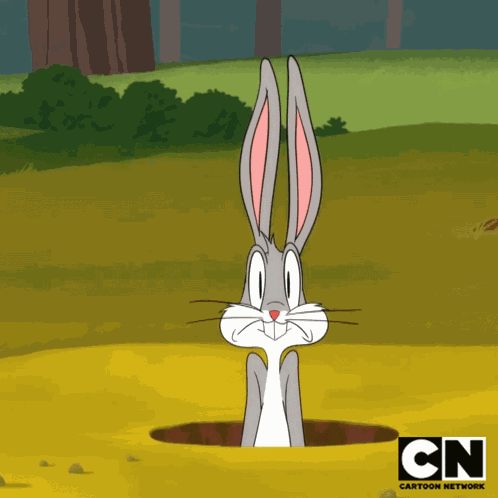 Sorprendido Bugs Bunny GIF