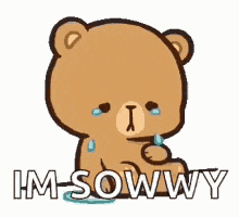 Sorry GIF