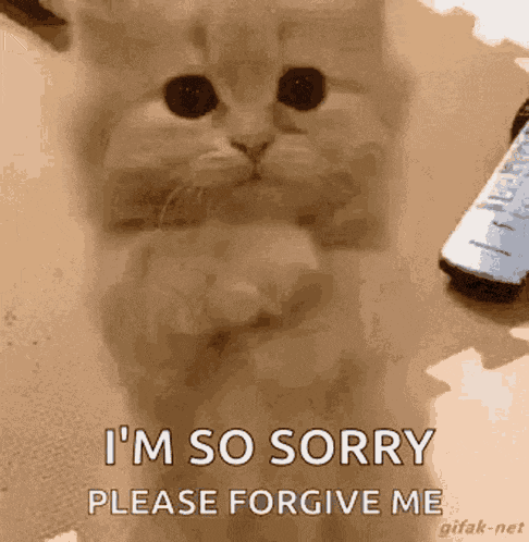 Sorry GIF