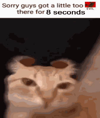Sorry I Got It GIF