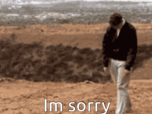 Sorry Im Sorry GIF