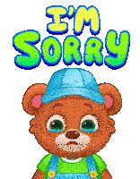Sorry Im Sorry Sticker