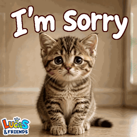 Sorry Im Sorry GIF
