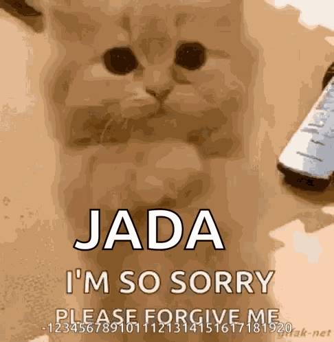 Sorry GIF