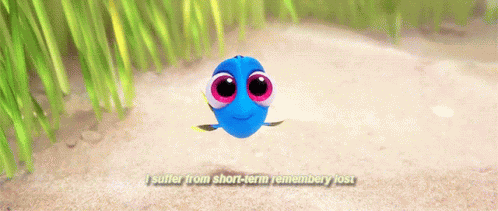 Sort Memory GIF